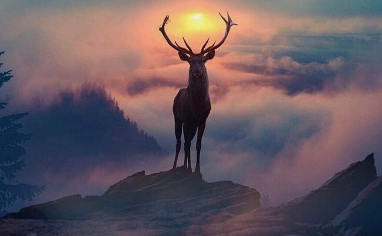 You are currently viewing Even Though & Sure Footedness